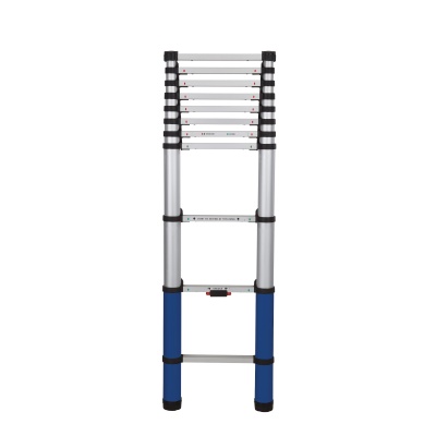 Werner Telescopic Extension Ladder